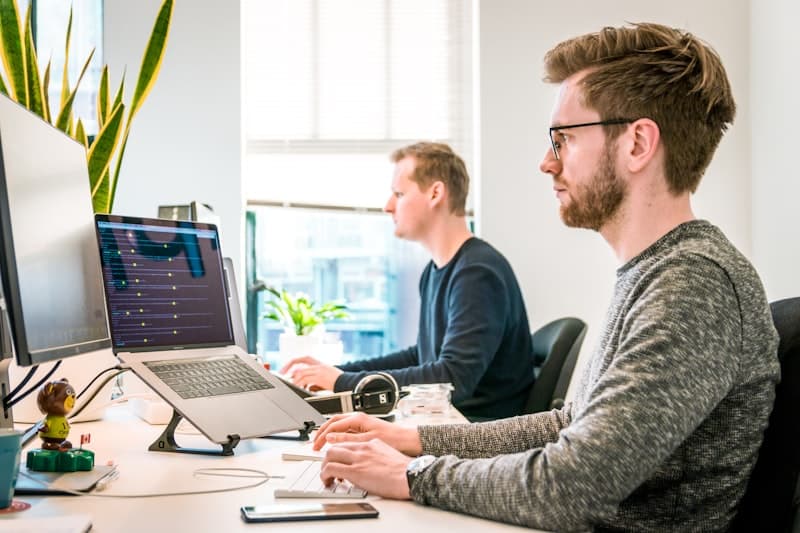Software engineering team